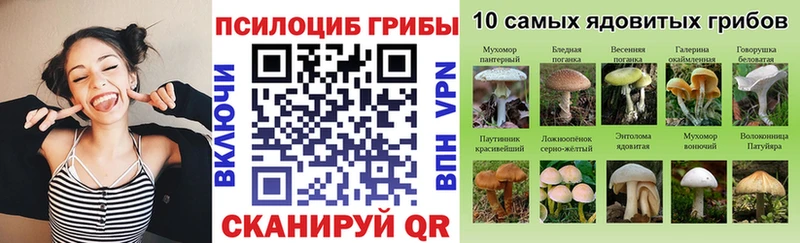 KRAKEN сайт  Сольцы  Псилоцибиновые грибы Psilocybine cubensis 